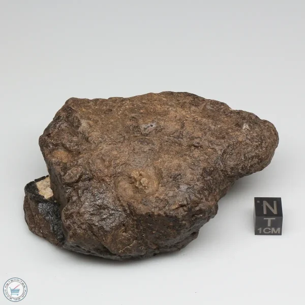 Al Haggounia 001 Meteorite 385.0g Windowed Stone