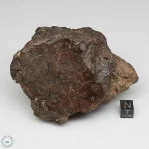 Al Haggounia 001 Meteorite 385.0g Windowed Stone