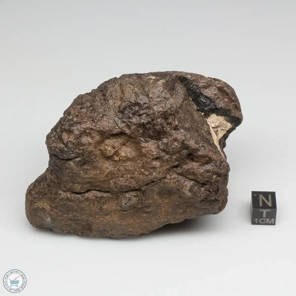 Al Haggounia 001 Meteorite 385.0g Windowed Stone
