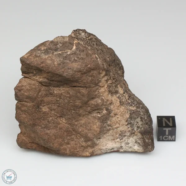 Al Haggounia 001 Meteorite 187.1g End Cut
