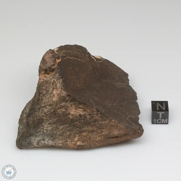 Al Haggounia 001 Meteorite 187.1g End Cut