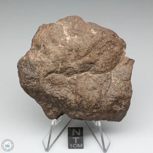 Al Haggounia 001 Meteorite 119.5g End Cut