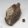 Al Haggounia 001 Meteorite 389.2g End Cut