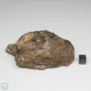 Al Haggounia 001 Meteorite 389.2g End Cut