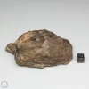 Al Haggounia 001 Meteorite 119.5g End Cut