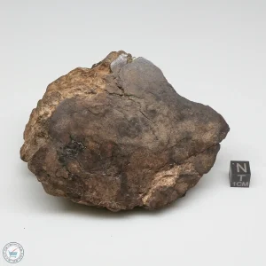 Al Haggounia 001 Meteorite 443.4g End Cut