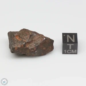 Canyon Diablo Meteorite 33.6g