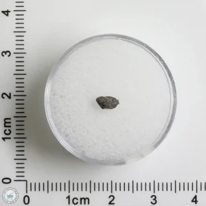 Hassi Messaoud 001 Martian Nakhlite 0.05g