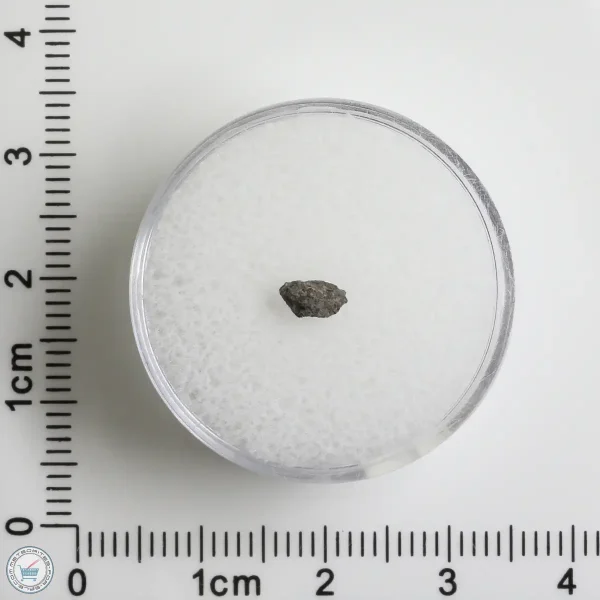 Hassi Messaoud 001 Martian Nakhlite 0.05g