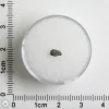 Hassi Messaoud 001 Martian Nakhlite 0.06g