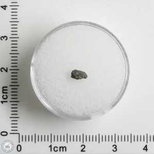 Hassi Messaoud 001 Martian Nakhlite 0.06g