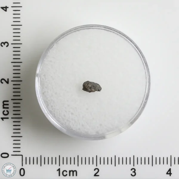 Hassi Messaoud 001 Martian Nakhlite 0.06g