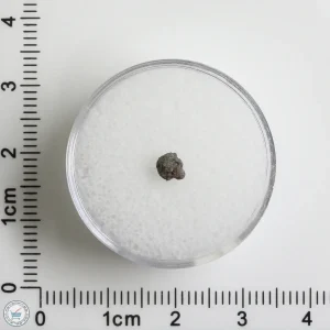 Hassi Messaoud 001 Martian Nakhlite 0.07g