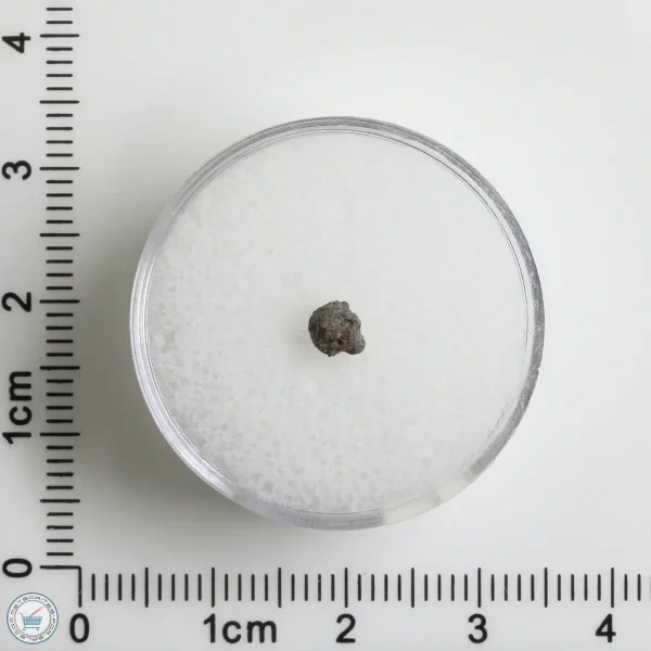 Hassi Messaoud 001 Martian Nakhlite 0.07g