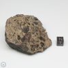 Taoudenni Meteorite 144.9g End Cut