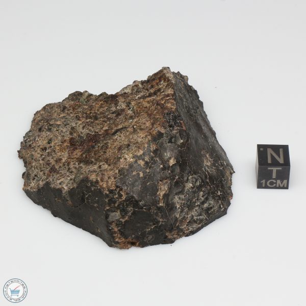 Taoudenni Meteorite 144.9g End Cut