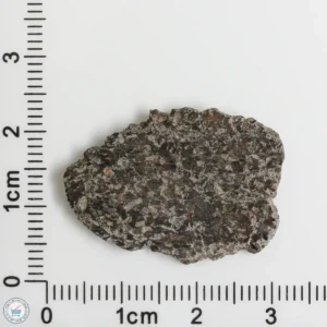 NWA 16127 Martian Meteorite 2.75g