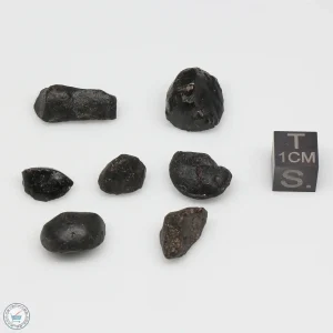 Australite Tektite Assortment 10g