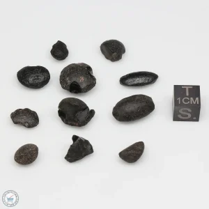 Australite Tektite Assortment 10g