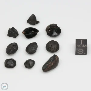 Australite Tektite Assortment 10g