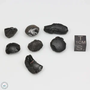 Australite Tektite Assortment 10g