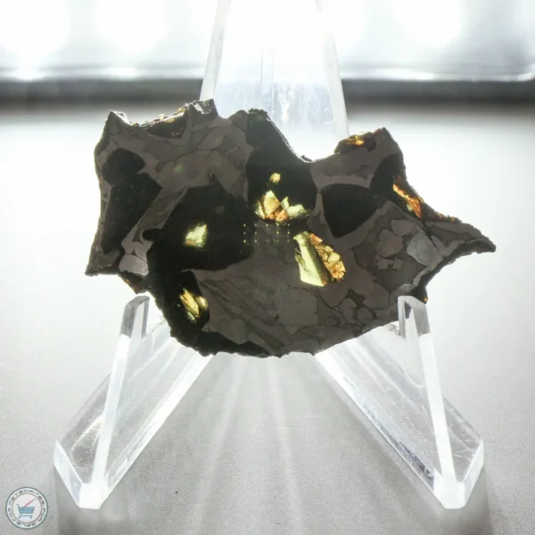 NWA 15428 Pallasite Meteorite 10.7g