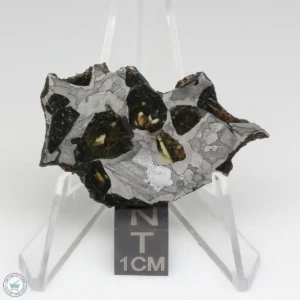 NWA 15428 Pallasite Meteorite 10.7g