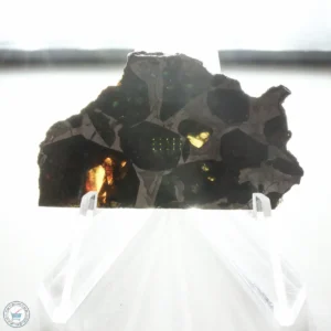 NWA 15428 Pallasite Meteorite 12.4g