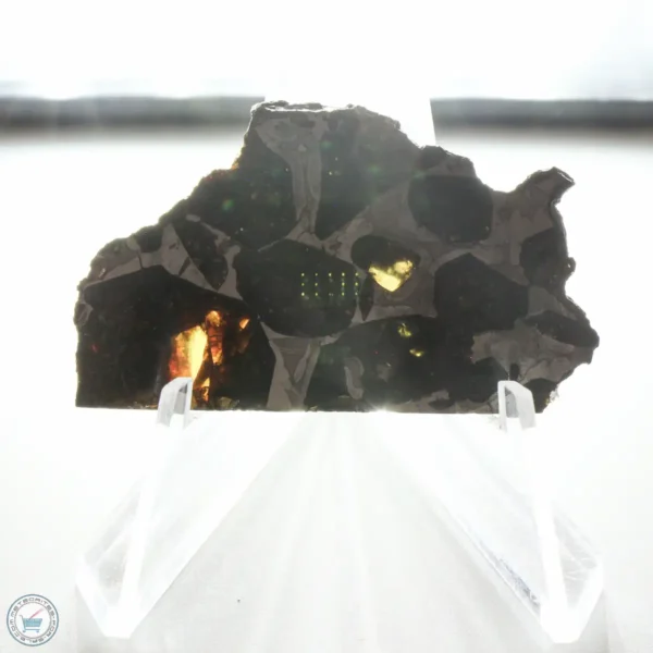 NWA 15428 Pallasite Meteorite 12.4g