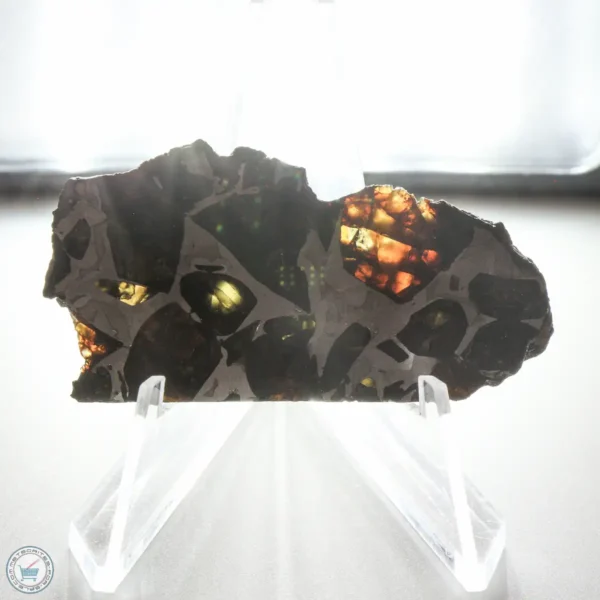 NWA 15428 Pallasite Meteorite 17.6g