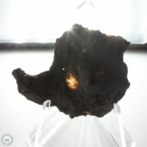 NWA 15428 Pallasite Meteorite 23.2g End Cut