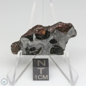 NWA 15428 Pallasite Meteorite 14.0g