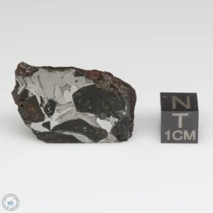 NWA 15428 Pallasite Meteorite 20.5g Part End Cut