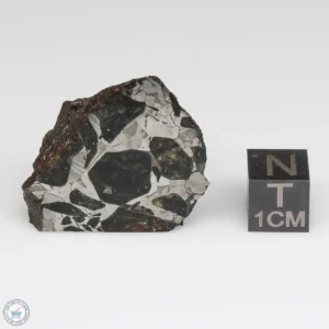 NWA 15428 Pallasite Meteorite 22.1g Part End Cut