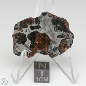 NWA 15428 Pallasite Meteorite 23.6g End Cut