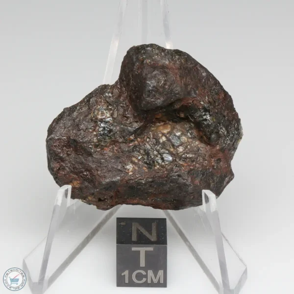 NWA 15428 Pallasite Meteorite 24.6g End Cut