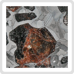 NWA 15428 Pallasite Meteorite