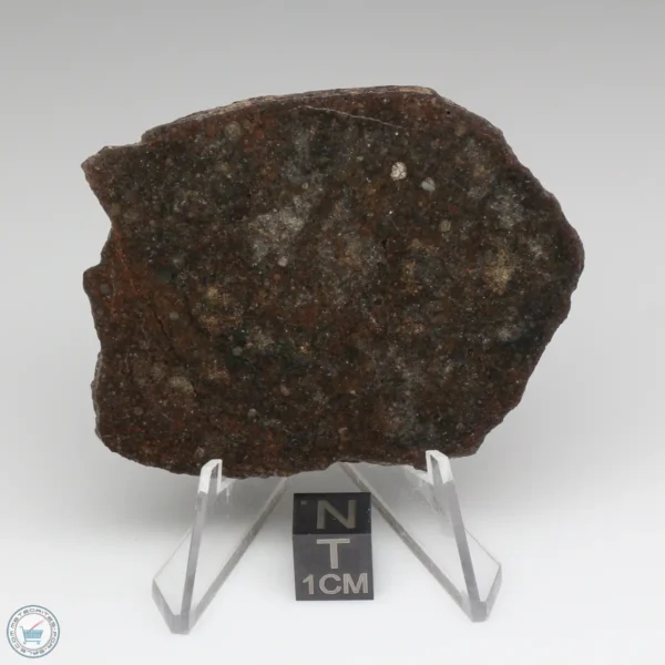 UNWA Meteorite Slice 36.4g