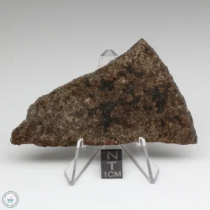 UNWA Meteorite Slice 39.2g