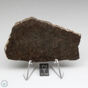 UNWA Meteorite Slice 41.3g