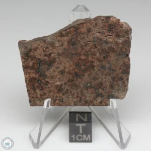 UNWA Meteorite Slice 23.0g