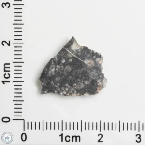 NWA 11474 Lunar Meteorite 0.80g