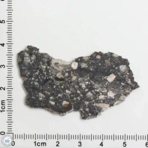 NWA 11474 Lunar Meteorite 5.04g