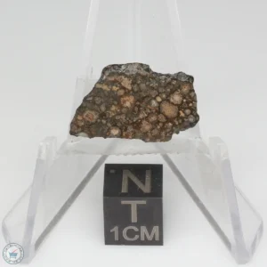 NWA 14353 CVred3 Meteorite 1.0g