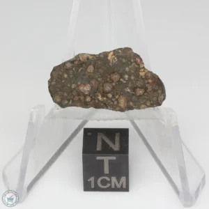 NWA 14353 CVred3 Meteorite 1.2g