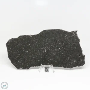 NWA 4860 Meteorite 228g