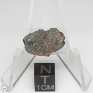 NWA 7454 Meteorite 2.1g End Cut