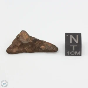 Agoudal Meteorite 5.7g