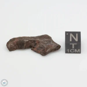 Agoudal Meteorite 7.7g