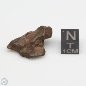 Agoudal Meteorite 10.3g
